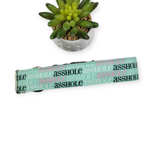 A$$hole on Mint Dog Collar (X-Large)