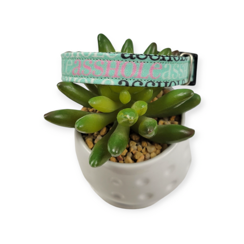 A$$hole on Mint Dog collar (Small)