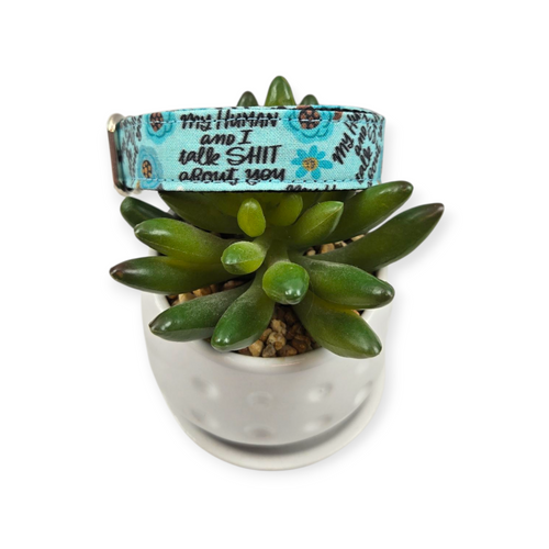 My Human and I Dog Collar (Small)