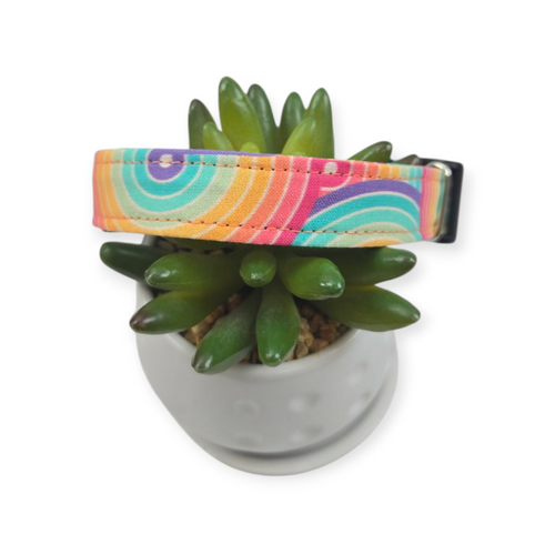 Retro Rainbow Swirls Dog collar (Medium)