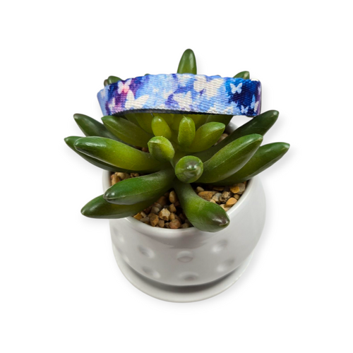 Watercolor Butterflies Kitty Collar (X-Small)