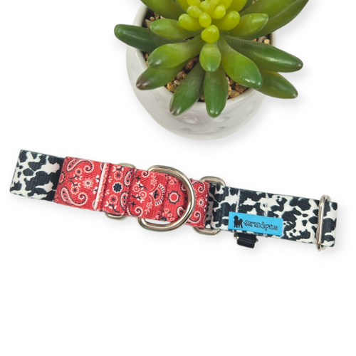 Gone Country Martingale dog collar (Medium)