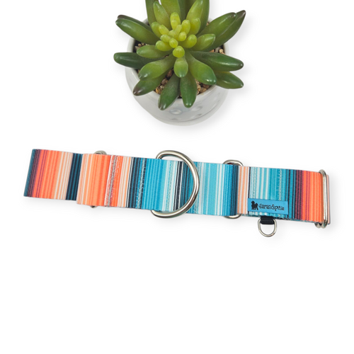 Sedona Stripes Martingale Dog Collar (Large)