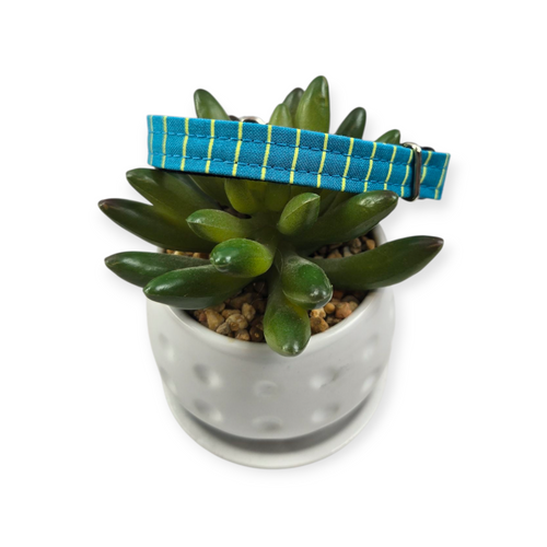 Blue w/Lime Stripes Kitty Collar (X-Small)