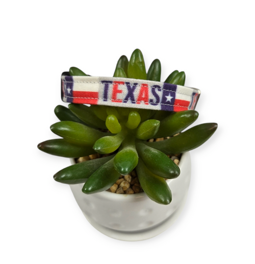 Texas Flag Dog collar (XX-Small)