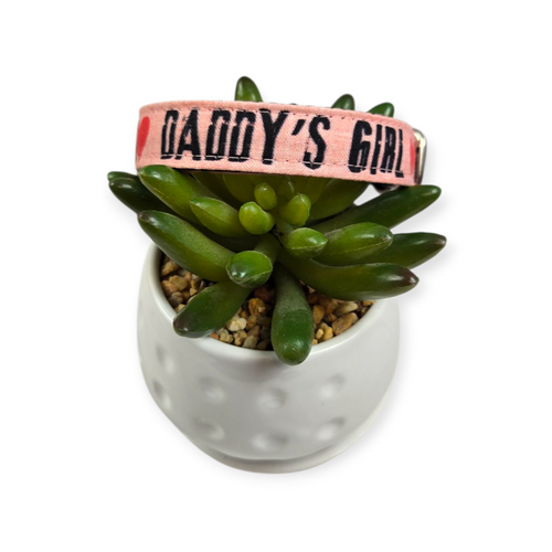 Daddy's Girl Dog on Pink Dog collar (Small)
