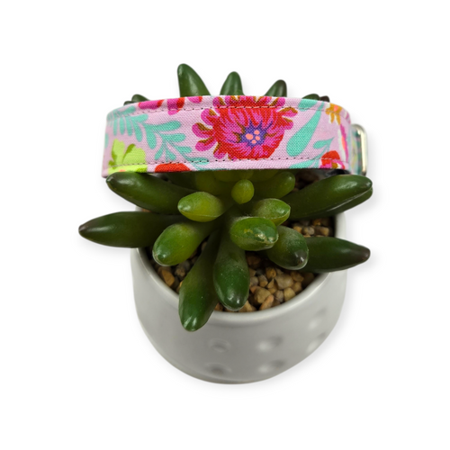 Untamed Flower field Dog Collar (Medium)