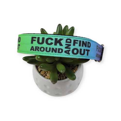 FAFO on Rainbow Dog Collar (Large)