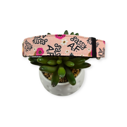 Sassy AF Martingale Dog Collar (Medium, 1" wide)