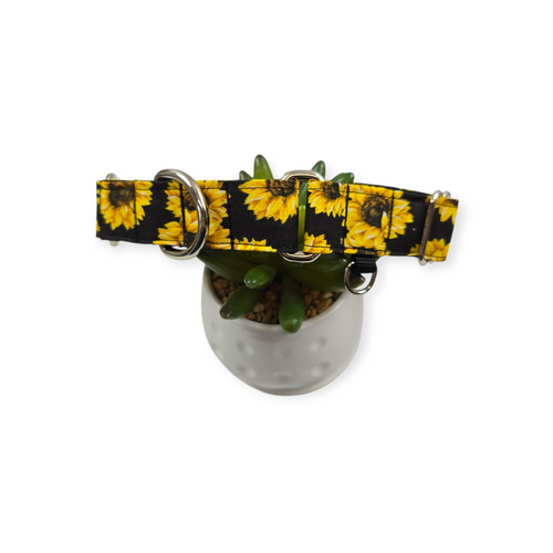 Sunflowers on Black Martingale dog collar (Medium, 1" wide)