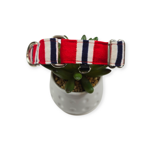 Patriotic Stripes Martingale Dog Collar (Medium, 1" wide)