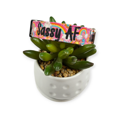 Sassy AF Doodle Dog Collar (Small, 3/4" wide)