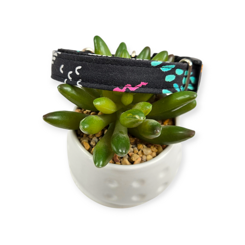 Neon Sketches Dog Collar (Small)