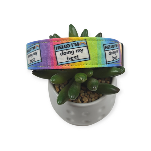 Doing My Best Dog collar (Medium, 1" Wide)