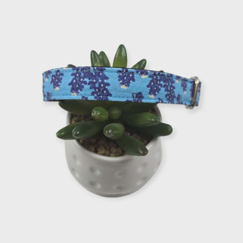 Texas Bluebonnet Wildflowers Dog Collar (Small, 3/4" wide)