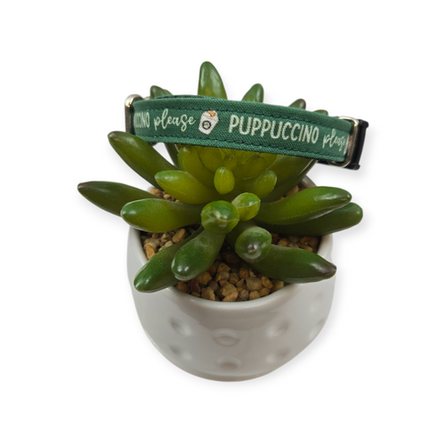 Puppuccino Please Dog collar (X-Small)