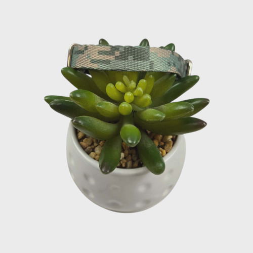 Mint Digital Camo Kitty Collar (XX-Small)