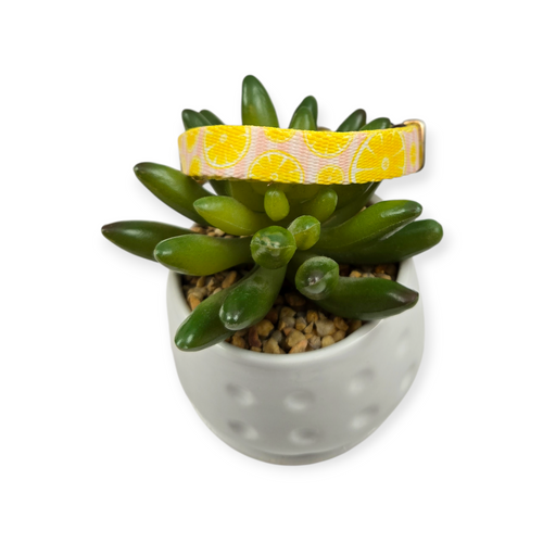 Pink Lemonade Dog Collar (X-Small)