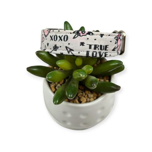 Retro Tattoos Dog Collar (Small, 3/4" wide)