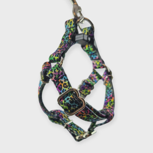 Electric Leopard Step-In Harness (XX-Small)