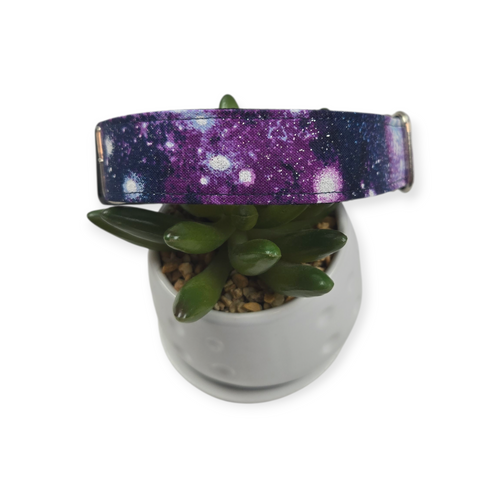 Galaxy dog collar (Medium, 1" wide)