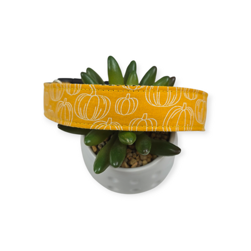 Gold Pumpkins Dog Collar (Medium)