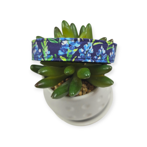 Preppy Bluebonnets on Navy Dog Collar (Medium)