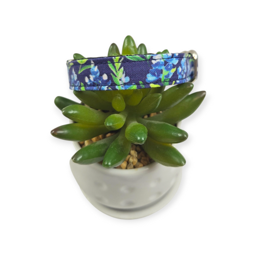 Preppy Bluebonnets on Navy Dog collar (Small)