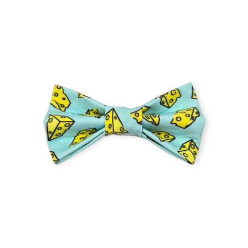 Swiss Cheese on Aqua Bowtie - 4"