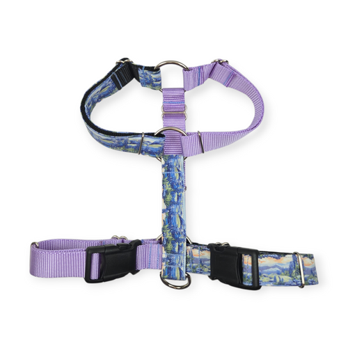 Bluebonnets at Big Bend SureFit Harness (M/L)