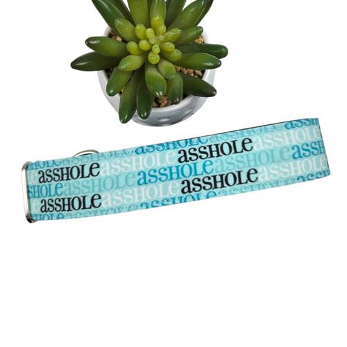 A$$hole on Aqua Dog Collar (X-Large, 1.5" wide)