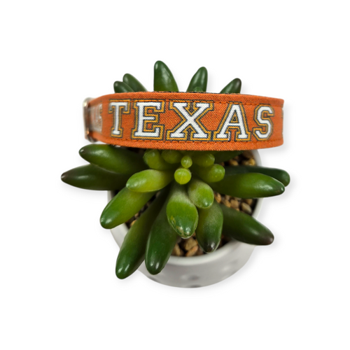 Texas on Burnt Orange Dog Collar (Medium)