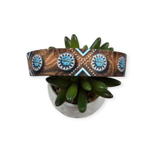 Saddle Up Dog Collar (Medium, 1" wide)