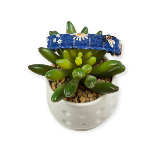 Daisies & Bees Dog Collar (X-Small)