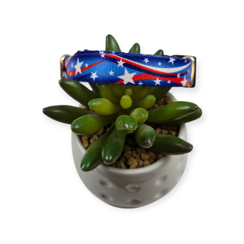 Star Spangled Dog Collar (Small)