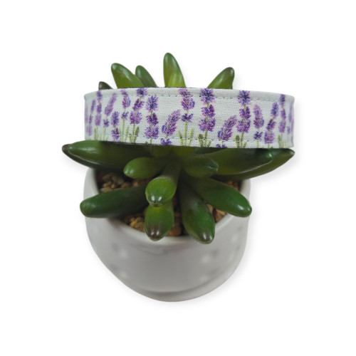Lavender Fields (Light Blue) Dog collar (Small, 3/4" wide)