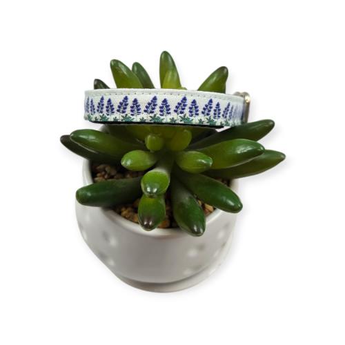 Bluebonnet Field Dog collar (X-Small)