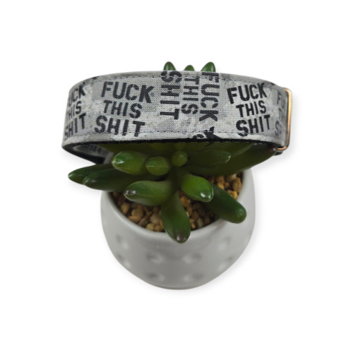 Fuck This Shit Stencil Dog Collar (Medium, 1" Wide)