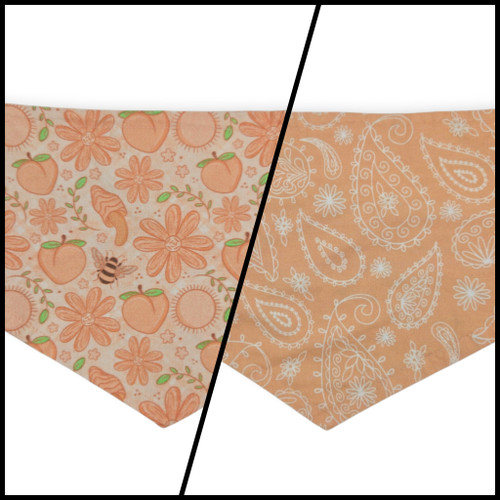 Peach Fuzz in Nature/Peach Floral Paisley Reversible Tie-on Bandana (Small)