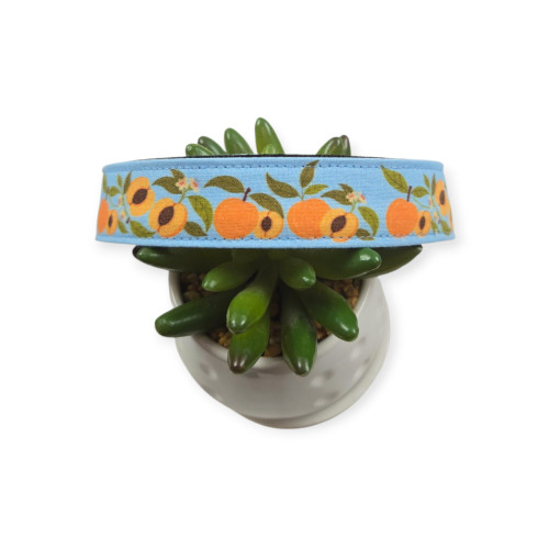 Peaches on Sky Blue Dog collar (Large)