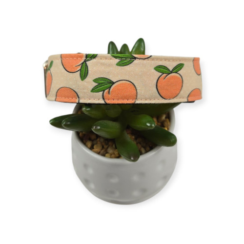 Peaches & Peach Polka Dots Dog Collar (Medium, 1" Wide)