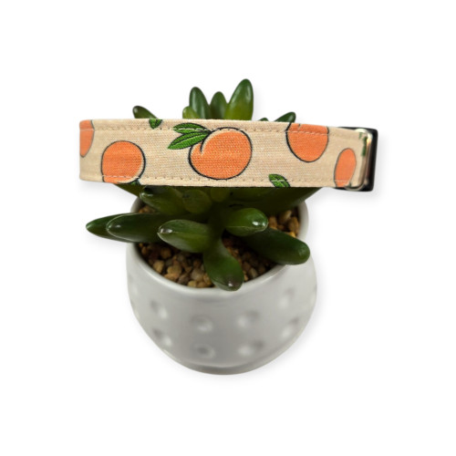 Peaches & Peach Polka Dots Dog Collar (Medium)
