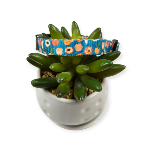 Peaches Dog Collar (XX-Small)