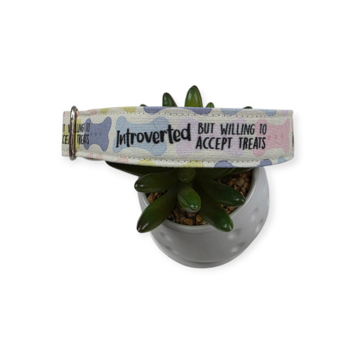 Introverted But Willing To Accept Treats Dog Collar (Large) #2
