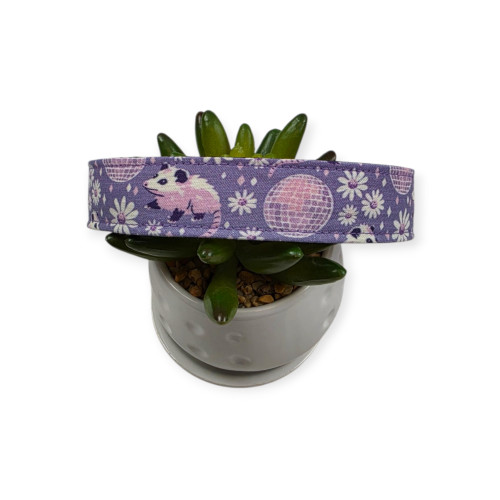 Disco Opossums Dog Collar (Large)