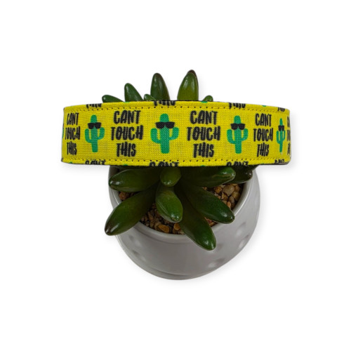 Can't Touch This Dog Collar (Medium, 1" wide)