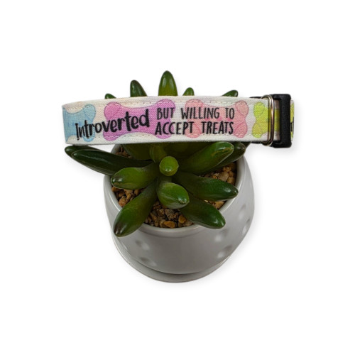 Introverted But Willing To Accept Treats Dog Collar (Small, 3/4" wide) #1