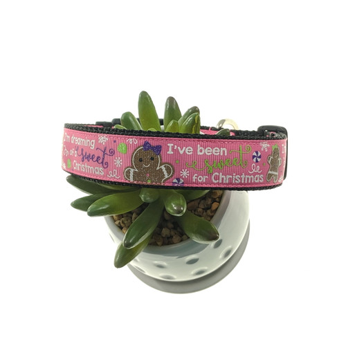 I'm Dreaming of a Sweet Christmas Dog Collar (Large)