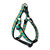 Pineapples on Aqua Step-In Harness  (Medium)