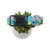 Malibu Tropics Dog collar (Large)